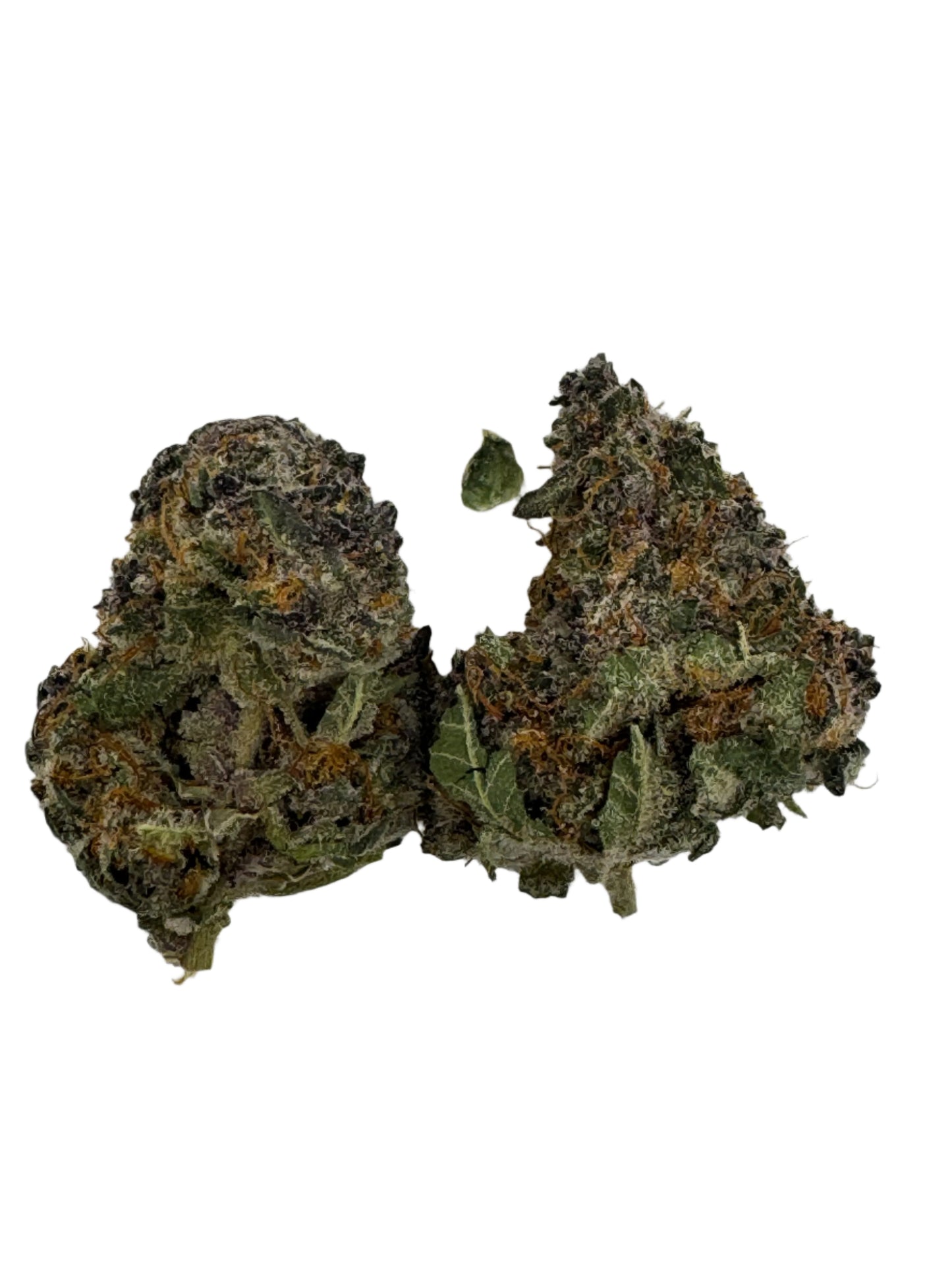 Premium Indoor Flower (Tropicana Cherry)